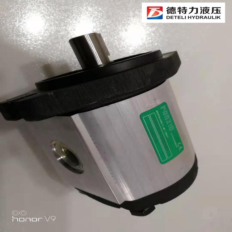 意大利羅茨ronzio單聯(lián)泵、雙聯(lián)泵、三聯(lián)泵、四聯(lián)泵