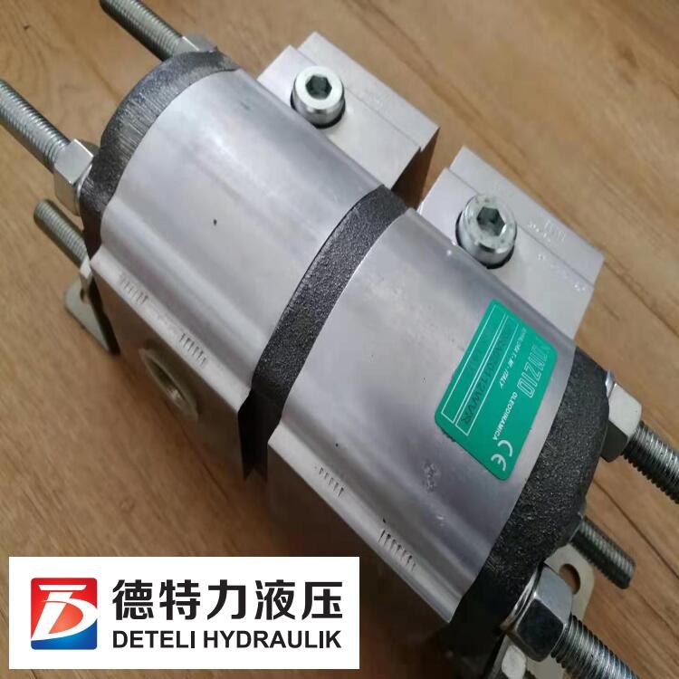 現(xiàn)貨意大利RONZIO分流馬達(dá)FDRA020172NV價格